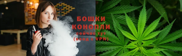 apvp Арсеньев