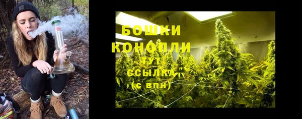 apvp Арсеньев