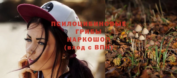 apvp Арсеньев