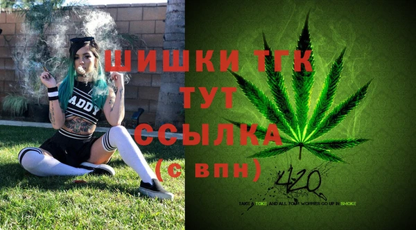 apvp Арсеньев