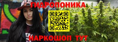 дживик Заводоуковск