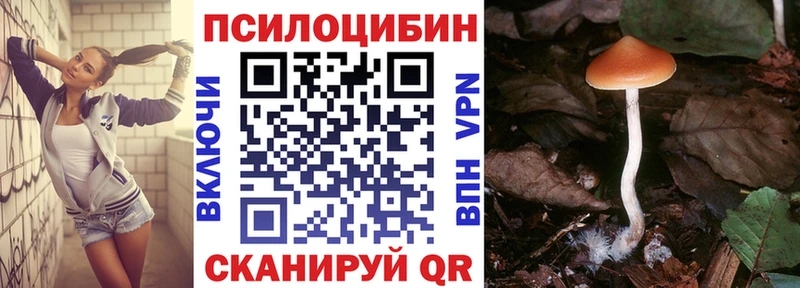 Галлюциногенные грибы GOLDEN TEACHER как найти МЕГА онион Мурманск