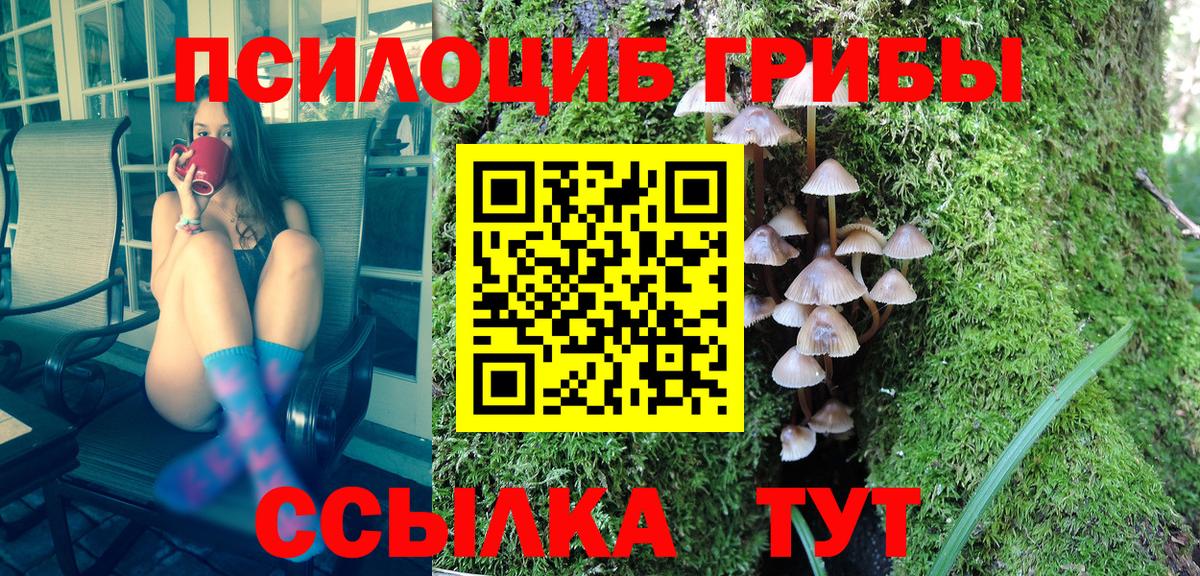 Галлюциногенные грибы мицелий  Вход с VPN  Мурманск 