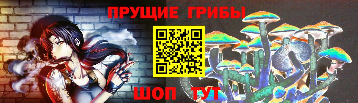 Псилоцибиновые грибы прущие грибы Мурманск
